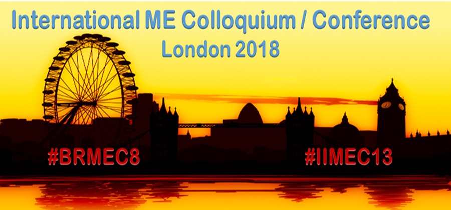 IIMEC13 