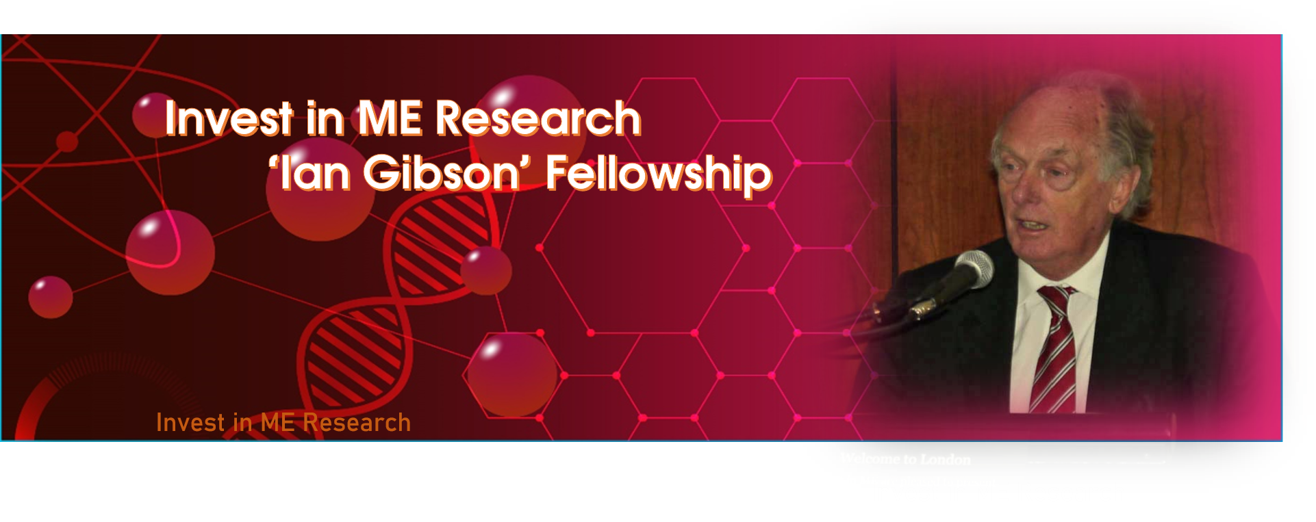 Ian Gibson Fellowship