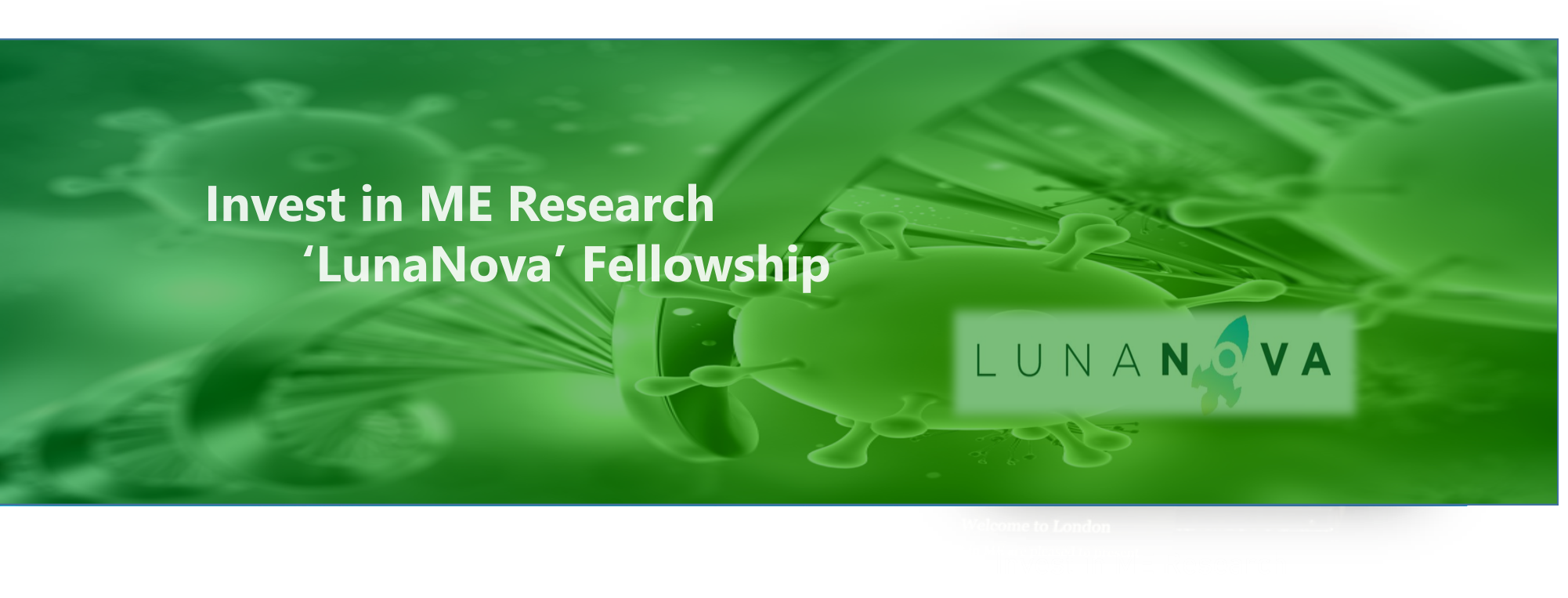 Luna Nova Fellowship
